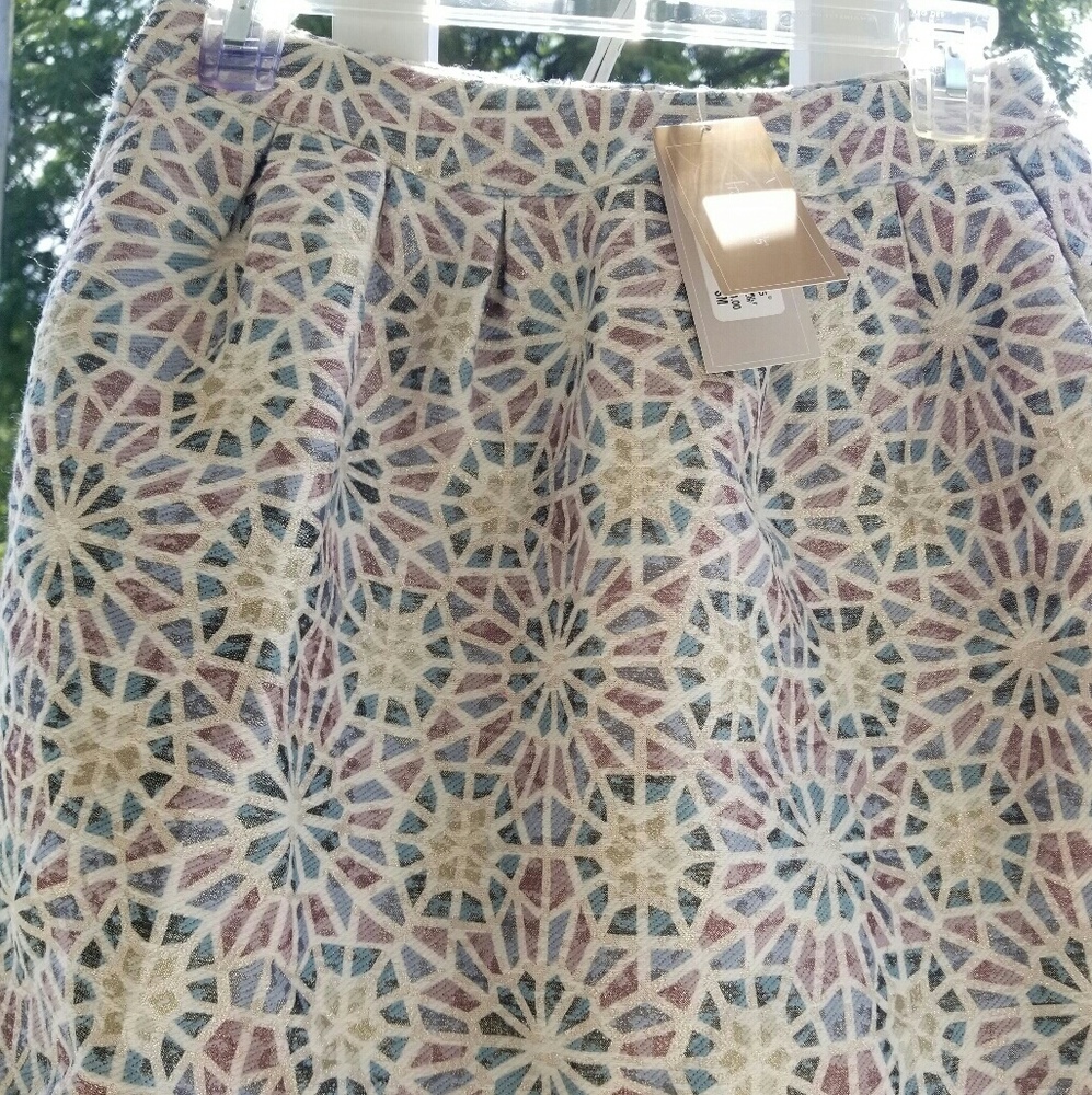 Francesca's Collections Skirt Size Small/Medium